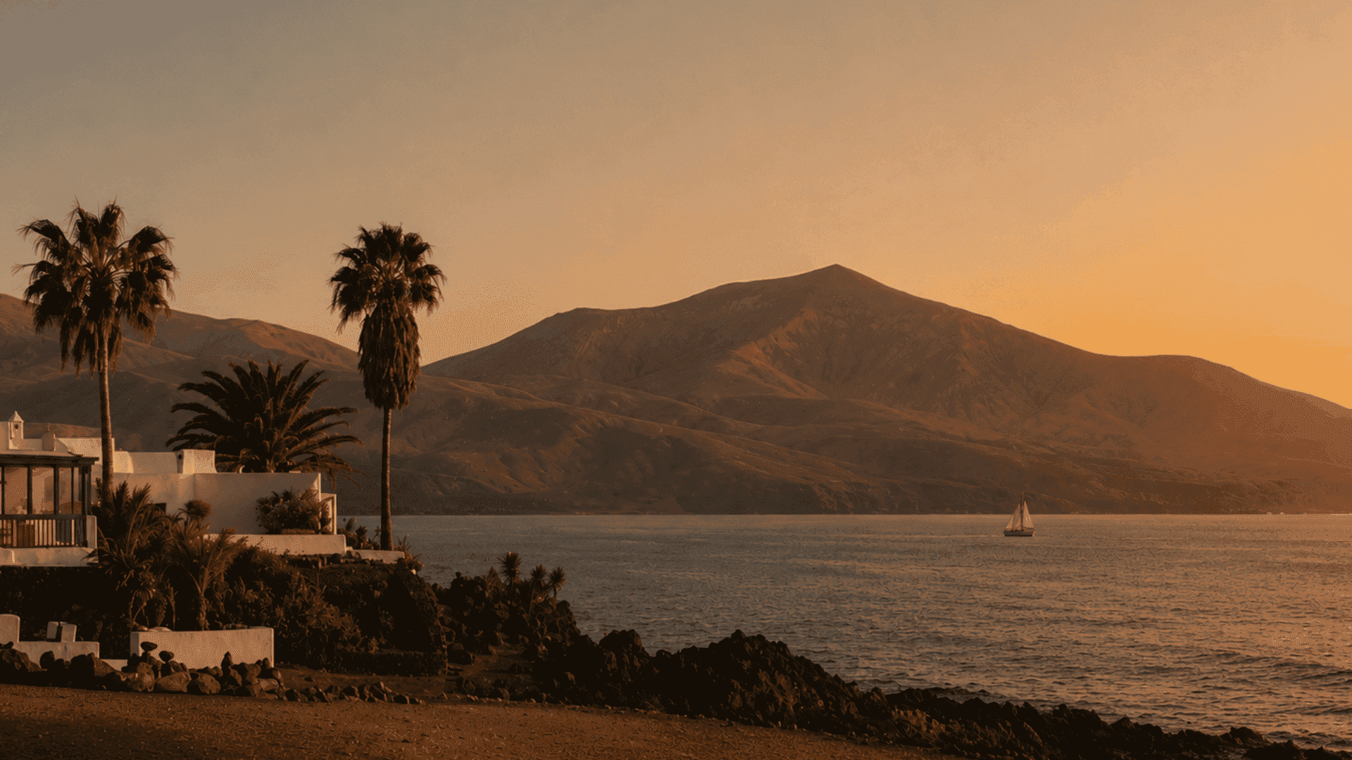 Digital Detox Experience