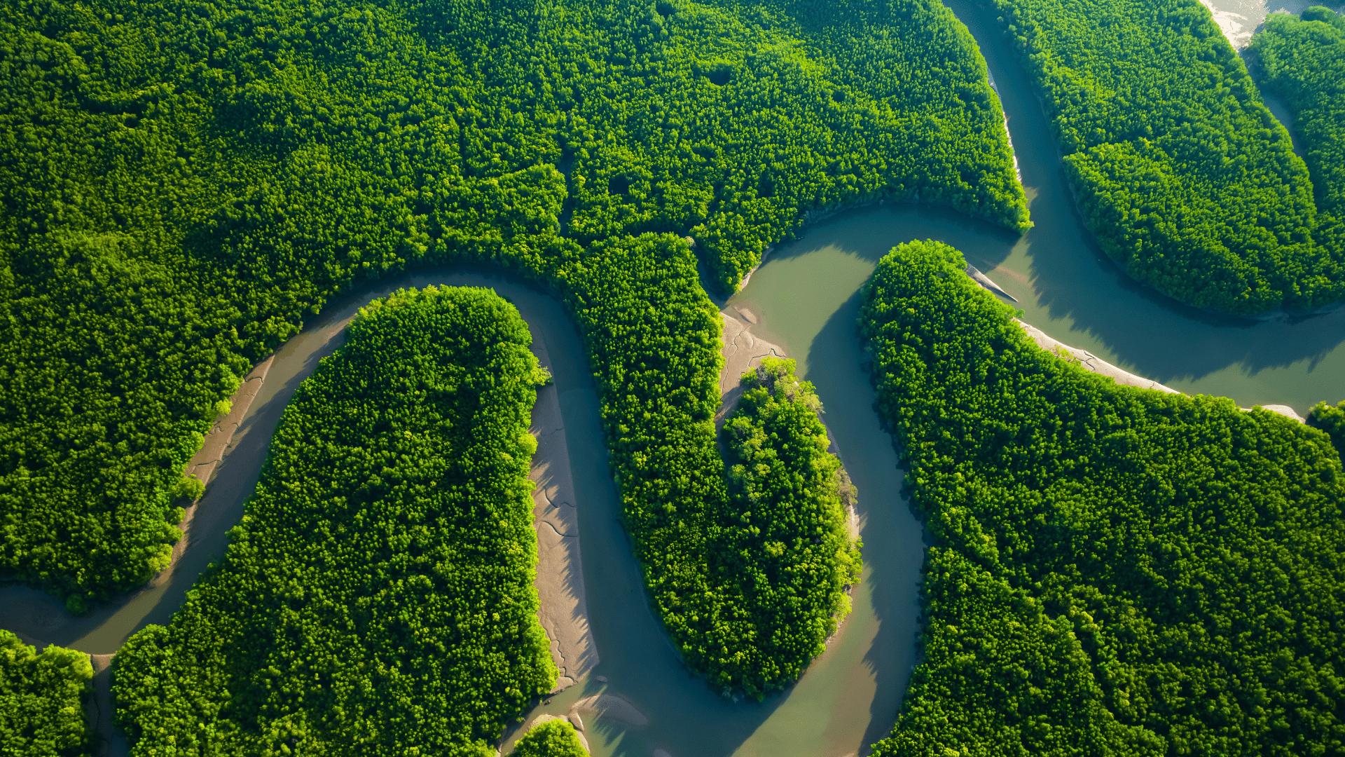 5 notti nella foresta amazzonica