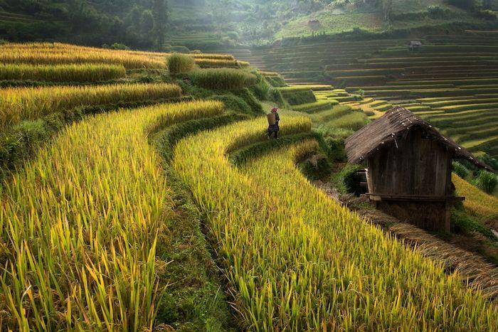 Trame del Vietnam